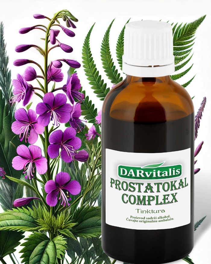 Tinktura PROSTATOKAL COMPLEX 50 ml - za normalnu funkciju prostate