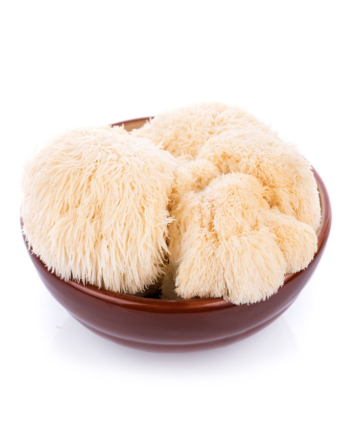 Eko tinktura Lavlja Griva 50 ml (Lion's Mane mushroom)